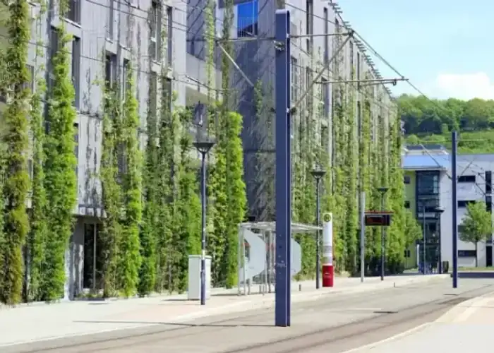 Green Spaces